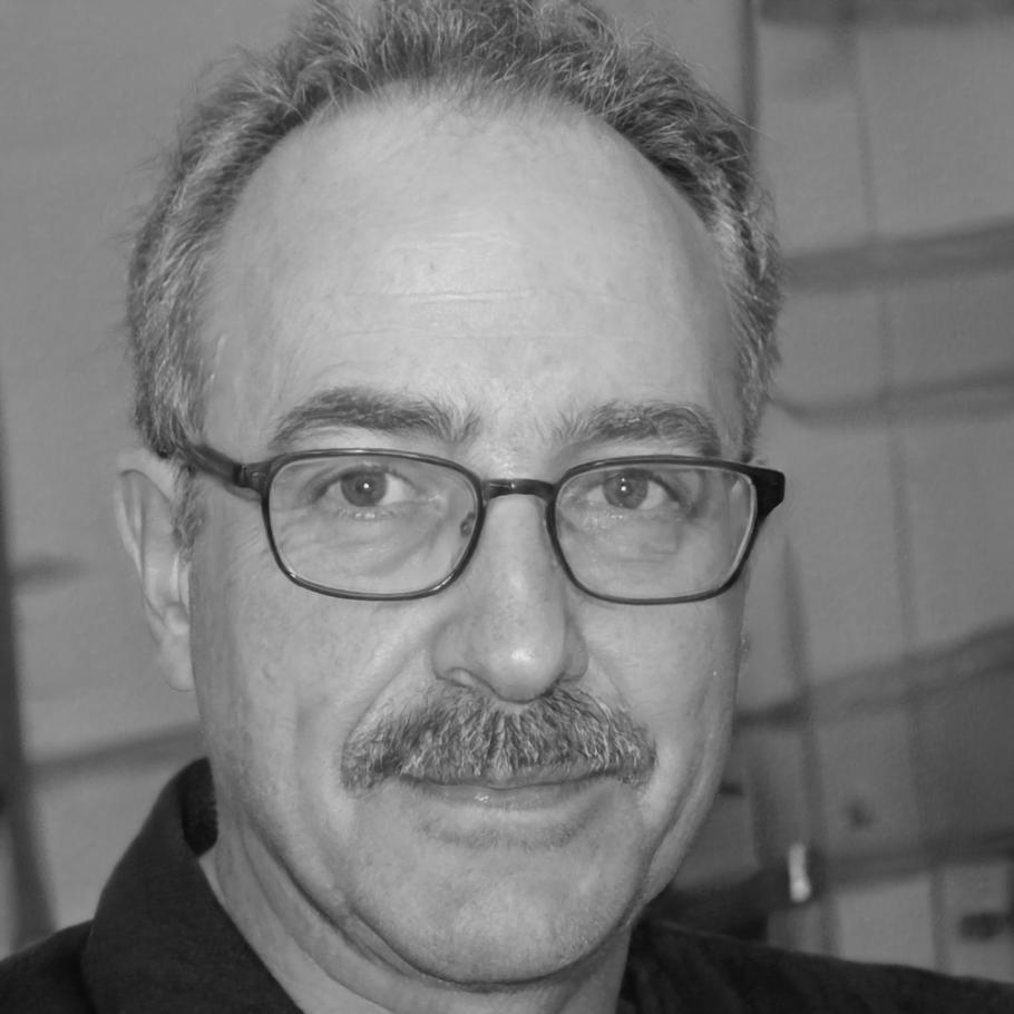 Ritratto professionale di Marco Benedetti